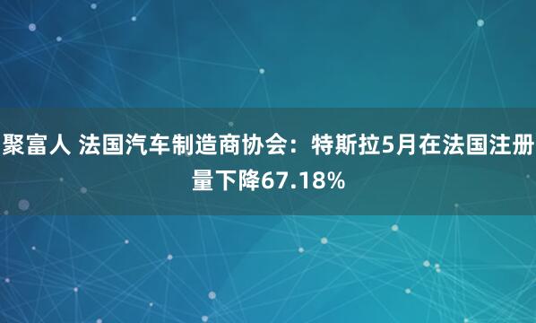 聚富人 法国汽车制造商协会：特斯拉5月在法国注册量下降67.18%