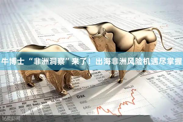 牛博士 “非洲洞察”来了！出海非洲风险机遇尽掌握