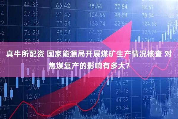 真牛所配资 国家能源局开展煤矿生产情况核查 对焦煤复产的影响有多大？