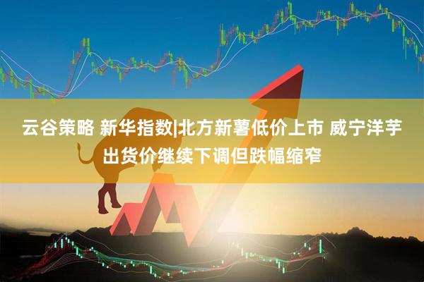 云谷策略 新华指数|北方新薯低价上市 威宁洋芋出货价继续下调但跌幅缩窄