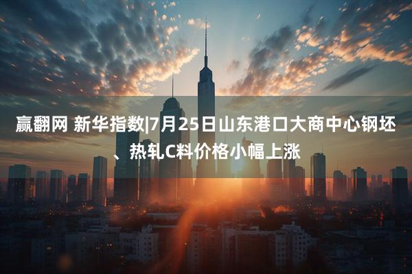 赢翻网 新华指数|7月25日山东港口大商中心钢坯、热轧C料价格小幅上涨