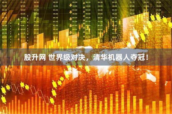 股升网 世界级对决，清华机器人夺冠！