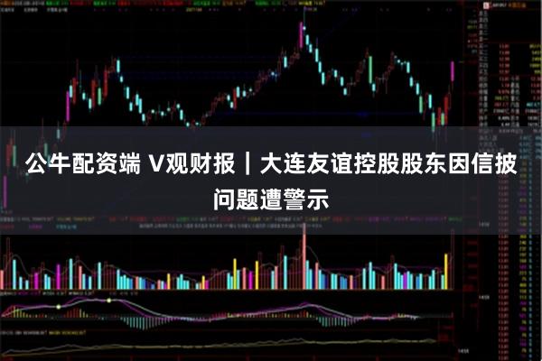 公牛配资端 V观财报｜大连友谊控股股东因信披问题遭警示