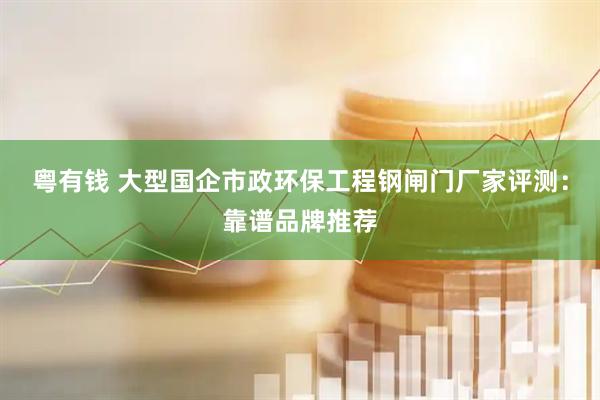 粤有钱 大型国企市政环保工程钢闸门厂家评测：靠谱品牌推荐