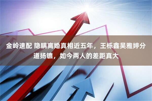 金岭速配 隐瞒离婚真相近五年，王栎鑫吴雅婷分道扬镳，如今两人的差距真大
